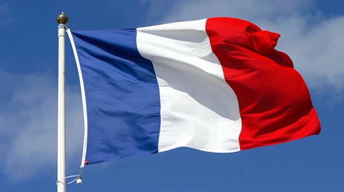 drapeau français officiel 2