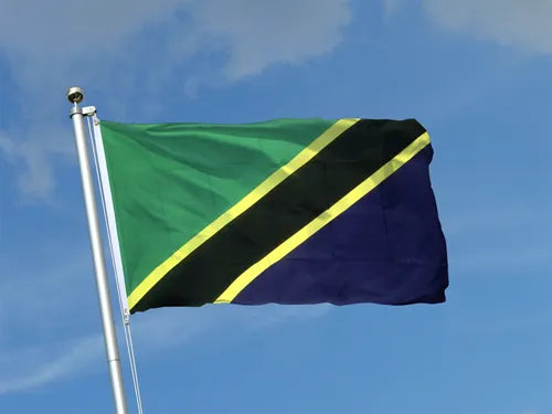 tanzanie drapeau 2